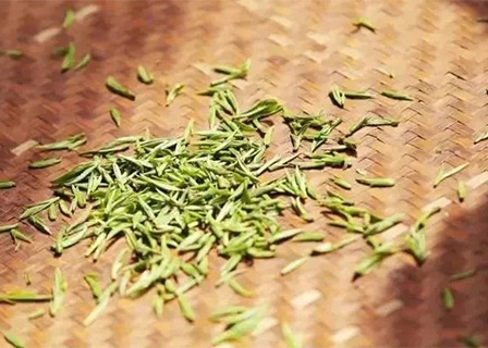 企业网站模板《聚鑫汇官网》（五）